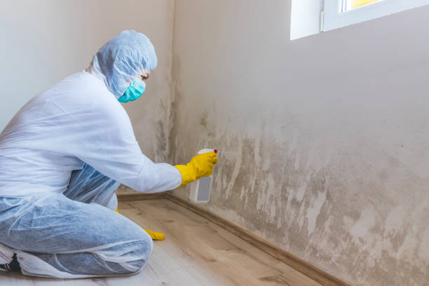 Commercial Mold Remediation assessment for commercial property in Vernon Hills