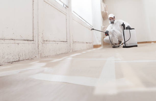 Post-remediation clearance in Vernon Hills